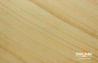 衡陽市藝術涂料招商加盟新機遇 認準帝卡斯，品質(zhì)直銷，信賴之選